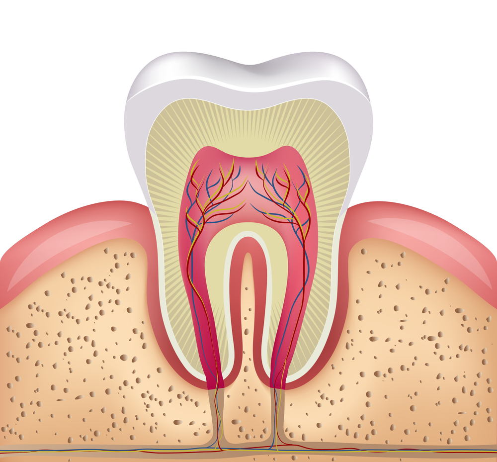 Root Canal Treatment